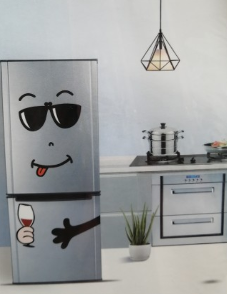 Set 2x Autocolant frigider, adeziv, diverse modele
