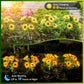 Set 2x Lampa Solara cu 5 flori, iluminare LED, IP66, panou solar integrat